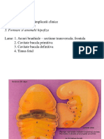 L.P. Ii: 1. Anomalii Faciale - Implicatii Clinice