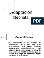 23862812-Adaptacion-Neonatal.ppt