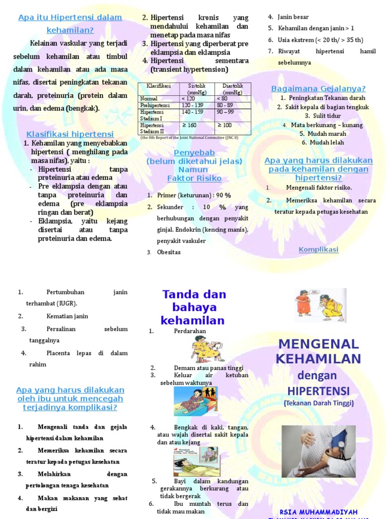 Penyebab Hipertensi Dalam Kehamilan  Cara Penanganannya