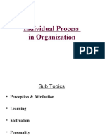 Individual Process in Organization