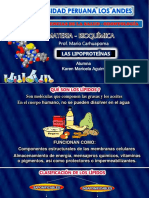 Las Lipoproteinas 2