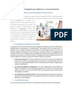 Programa de Audit