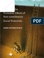 Essays On The Economic Effects of Noncontributory Social Protection