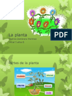 La planta.pptx