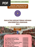 Download Peternakan Ayam Petelur Ppt by nina SN366328719 doc pdf