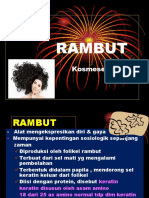 Rambut Rev.1