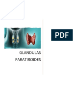 Glandulas Paratiroides
