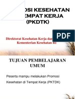 8.MI6 PPT Promosi Kesehatan Di Tempat Kerja