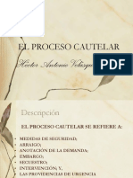 02 El Proceso Cautelar