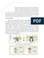 DIGOXIN