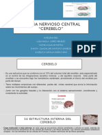 Sistema Nervioso Central CEREBELO Tema Cinco .