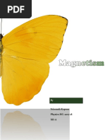Download Physics Project on Magnetism by Sriaansh Kapoor SN366354277 doc pdf
