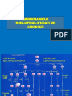 Sindroamele Mieloproliferative Cronice 