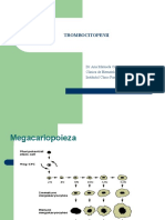 TROMBOCITOPENII (1) (1).pptx