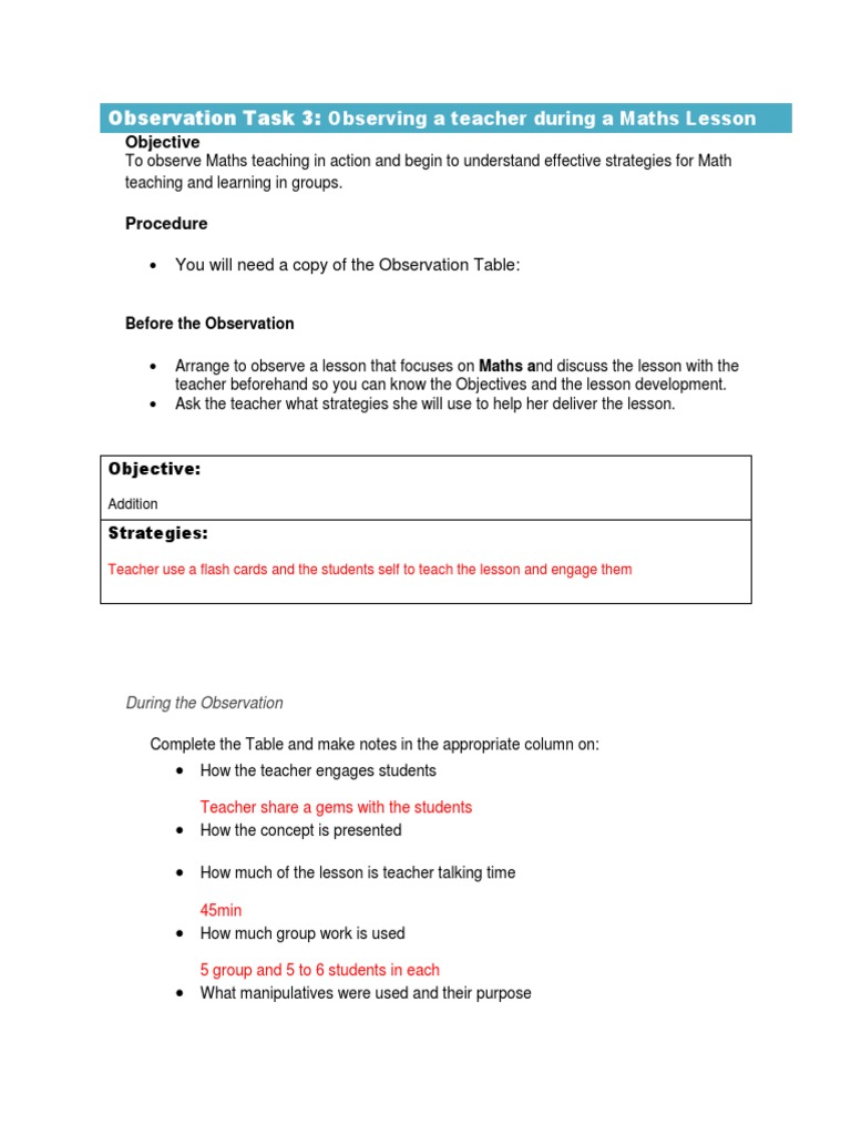 Observation Task 3 | PDF | Teaching Mathematics | Quality Of Life