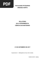 Relatorio ciencia dos materiais aços.docx