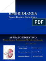 embriologia-aparatodigestivo-100806175435-phpapp01.pdf