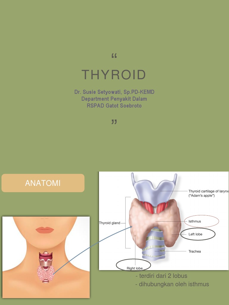 Anatomi dan Fungsi Tiroid Manusia | PDF