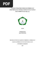 Download LAPORAN TKG IKG  FEKUNDITAS IKAN KEMBUNGdocx by yusdar MSP S5 SN366371348 doc pdf
