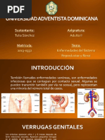Enfermedades Del SIstema Reproductor y Renal