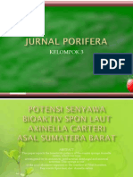 Jurnal Porifera