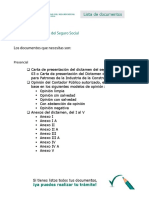 Lista Doctos Dictamen Efectos Ss