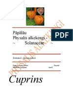 Physalis Alkekengi Popescu Bianca, Puscuta Madalina, Grupa 16