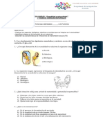 Sexualidad y autocuidado: Prueba unidad 7° básico