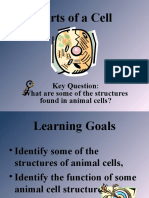 Parts of A Cell: Key Question: What Are Some of The Structures Found in Animal Cells?