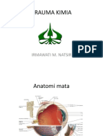 PPT Trauma Kimia