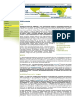 Misión Multidimensional Integrada de Estabilización de Las Naciones Unidas en La República Centroafricana (MINUSCA)