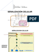 Señalizacion Celular