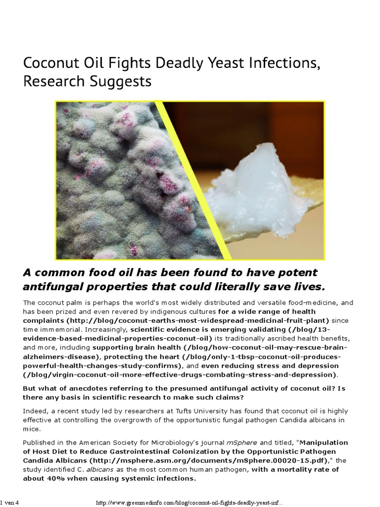 Coconut Oil Fights Deadly Yeast Infections Candida Candida (Fungus