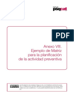 ANEXO_VIII_version_corta_v2.pdf