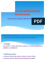 CURS 2 BFK Infectii Ale Laringelui - Sinuzita - Traheei +bronsiolita