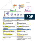 Leukemia and Lymphoma Overview