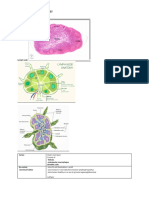 Immunology Usmle Hsu Notes PDF