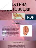 Sistema Vestibular Oido