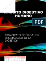 Presentación aparato digestivo humano 2.pptx