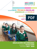 201711-RSC-eLyj0Qa5G8-SECUNDARIA3aSesionCTE2017-18GUIA.pdf