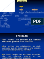 ENZIMAS  (1).pdf