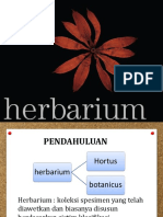 Herbarium dan isektarium