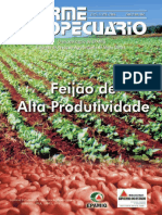 IA_223_Feijão de Alta Produtividade_2004.pdf