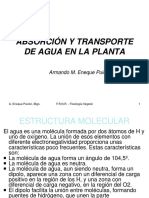 ABSORCIÓN Y TRANSPORTE DE AGUA.pdf