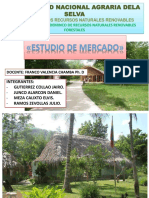 Estudio de Mercado