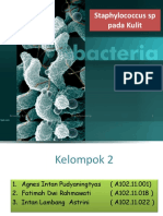 KEL 2 Staphylococcus SP