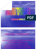 Trabajo Anatomia