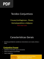 Tecidos Conjuntivos