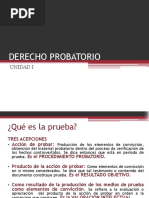 Derecho Probatorio Generalidades