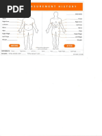 Body Measurements bbb